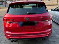 Gebraucht Cupra Ateca 300 PS (220 kW) 2019 Rot SUV