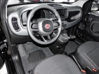 Occasion Fiat Panda 69 ch (50 kW) 2024 Noir Citadine