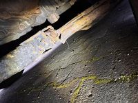 Gebraucht Opel Astra 105 PS (77 kW) 2005 Grau Limousine