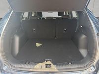 Gebraucht Ford Kuga ST-Line 120 PS (88 kW) 2024 Blue metallic SUV