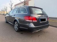 Gebraucht Mercedes E350 258 PS (189 kW) 2015 Grau Kombi