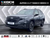 Neu Subaru Forester Exclusive+ 136 PS (100 kW) 2025 Grau SUV