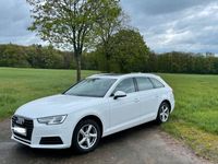 gebraucht Audi A4 2.0 TDI S tronic design Avant design