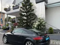 Gebraucht Audi TT 250 PS (183 kW) 2006 Schwarz Coupé