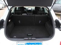 Gebraucht Ford Puma Titanium 125 PS (91 kW) 2024 Frost weiß SUV