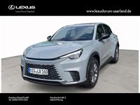 Gebraucht Lexus LBX 136 PS (100 kW) 2025 Grau SUV