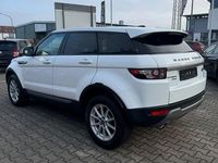 Gebraucht Land Rover Range Rover evoque Pure 150 PS (110 kW) 2013 Weiß SUV