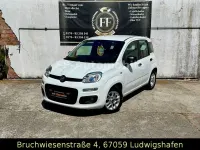 Gebraucht Fiat Panda Lounge 69 PS (50 kW) 2014 Weiß Kleinwagen