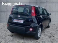 Gebraucht Fiat Panda 69 PS (50 kW) 2024 Schwarz Kleinwagen