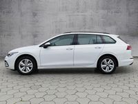 Gebraucht VW Golf VIII Life 150 PS (110 kW) 2022 Pure white Kombi