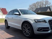 Gebraucht Audi SQ5 326 PS (239 kW) 2017 Weiß SUV