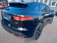 gebraucht Jaguar F-Pace F-PaceR-Sport AWD