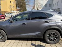 Gebraucht Lexus NX300 197 PS (144 kW) 2018 Grau SUV