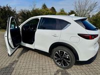 Gebraucht Mazda CX-5 Newground 150 PS (110 kW) 2023 Weiß SUV