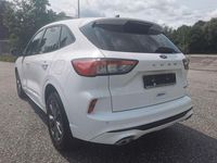 Gebraucht Ford Kuga ST-Line X 150 PS (110 kW) 2020 Weiß SUV