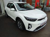 Neu Kia Stonic Vision 101 PS (74 kW) 2025 (ud) clear white s SUV