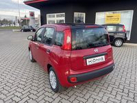 Neu Fiat Panda 69 PS (50 kW) 2025 Rot Kleinwagen