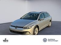 Gebraucht VW Golf VIII Life 131 PS (96 kW) 2023 Silber Kombi
