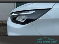 Neu Ford Transit Custom Limited 170 PS (125 kW) 2025 Magnetic met Limousine