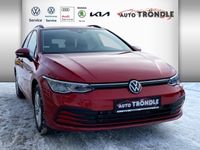 gebraucht VW Golf VIII 8 1.0 TSI Life +ACC +LED +Navi