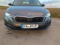 Gebraucht Skoda Octavia Ambition 150 PS (110 kW) 2022 Grau Kombi