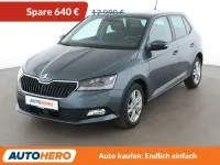 Gebraucht Skoda Fabia Style 95 PS (69 kW) 2019 Gray Kleinwagen
