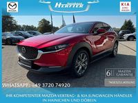Gebraucht Mazda CX-30 Selection 186 PS (136 kW) 2022 SUV