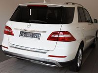 Gebraucht Mercedes ML250 204 PS (150 kW) 2012 Weiß SUV