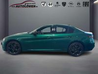 Gebraucht Alfa Romeo Giulia 280 PS (205 kW) 2025 Verde montreal, speziallackie Limousine