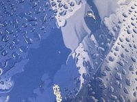 Gebraucht Chevrolet Camaro 275 PS (202 kW) 2019 Coupé