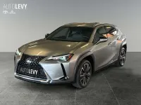 Gebraucht Lexus UX 250h 184 PS (135 kW) 2023 Silber SUV