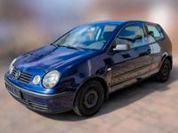 Gebraucht VW Polo Basis 54 PS (39 kW) 2004 Blau Kleinwagen