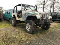 Gebraucht Jeep Wrangler 178 PS (130 kW) 1993 SUV