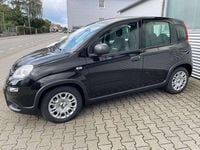 Gebraucht Fiat Panda 69 PS (50 kW) 2024 Cinema schwarz Kleinwagen