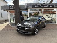 Gebraucht Mazda CX-30 140 PS (102 kW) 2024 Grau SUV
