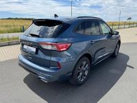 Gebraucht Ford Kuga ST-Line X 150 PS (110 kW) 2024 Blau SUV