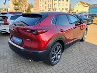 Gebraucht Mazda CX-30 Selection 186 PS (136 kW) 2022 Rot SUV