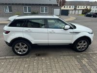 gebraucht Land Rover Range Rover evoque 2.2 TD4 Pure Pure