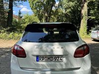 Gebraucht Porsche Cayenne 245 PS (180 kW) 2013 Weiß SUV
