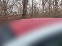 Gebraucht Fiat 500 Lounge 69 PS (50 kW) 2020 Weiß Kleinwagen