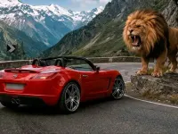 Occasion Opel GT 300 ch (220 kW) 2008 Rouge Cabriolet