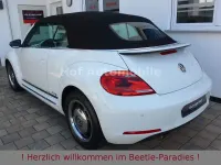 Gebraucht VW Beetle Cup 105 PS (77 kW) 2015 Weiß Kleinwagen
