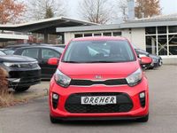 Gebraucht Kia Picanto Edition 7 67 PS (49 kW) 2019 Shiny red Kleinwagen