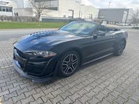 gebraucht Ford Mustang Cabrio 2,3 Eco Boost Shelby Kamera Navi