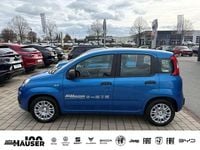 Gebraucht Fiat Panda Icon 69 PS (50 kW) 2025 Blau Limousine
