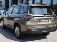 Neu Subaru Forester Trend 136 PS (100 kW) 2025 Grün SUV