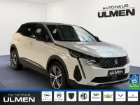 Gebraucht Peugeot 3008 Allure 136 PS (100 kW) 2024 Weiss SUV