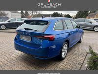 Neu Skoda Octavia 150 PS (110 kW) 2026 8x8x race blue metallic Kombi