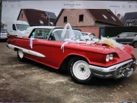 Gebraucht Ford Thunderbird 300 PS (220 kW) 1959 Rot