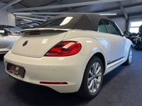 gebraucht VW Beetle Cabriolet Club BMT 1. Hd, Scheckh., 69Tkm